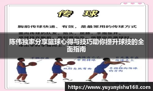 陈伟独家分享篮球心得与技巧助你提升球技的全面指南